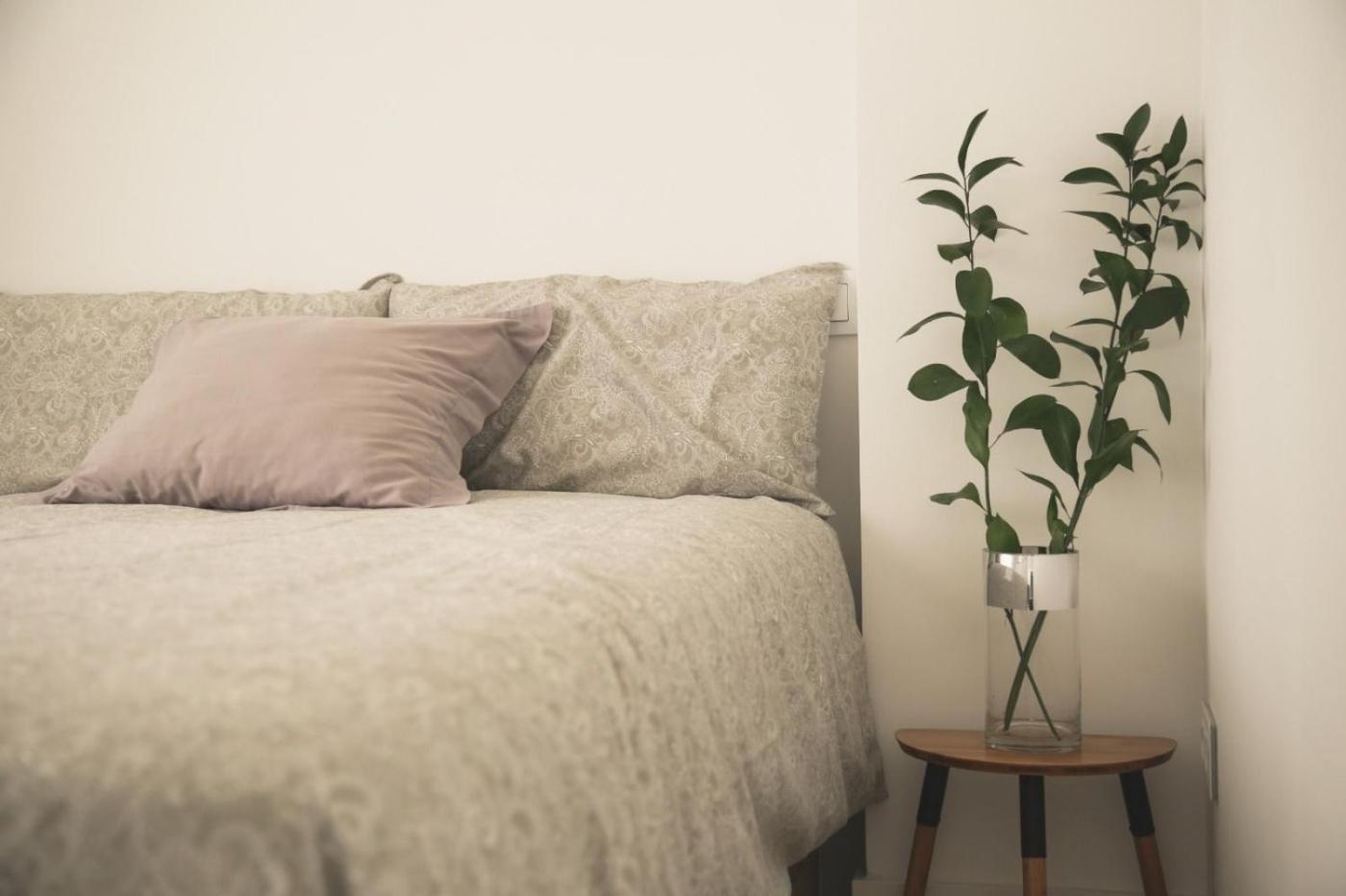 Romantico Apartamento En El Centro 산탄데르 외부 사진